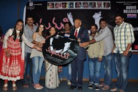 Madhumati Movie Audio Release